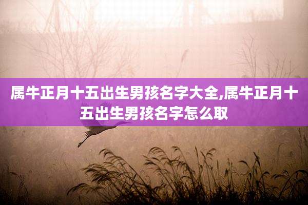 属牛正月十五出生男孩名字大全,属牛正月十五出生男孩名字怎么取