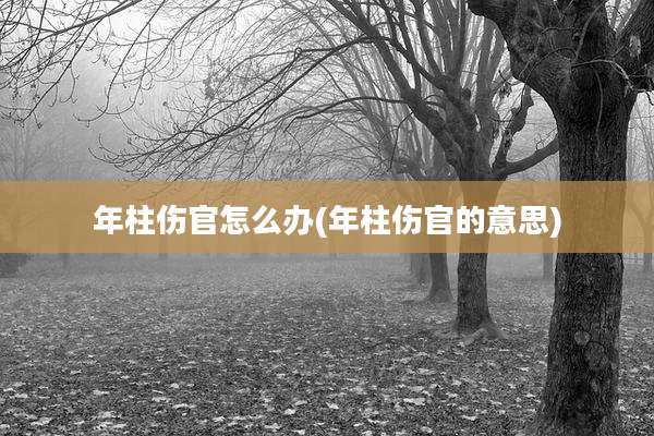 年柱伤官怎么办(年柱伤官的意思)