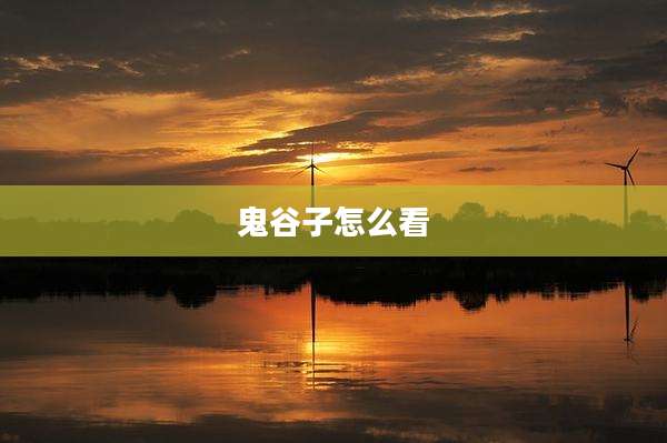 鬼谷子怎么看