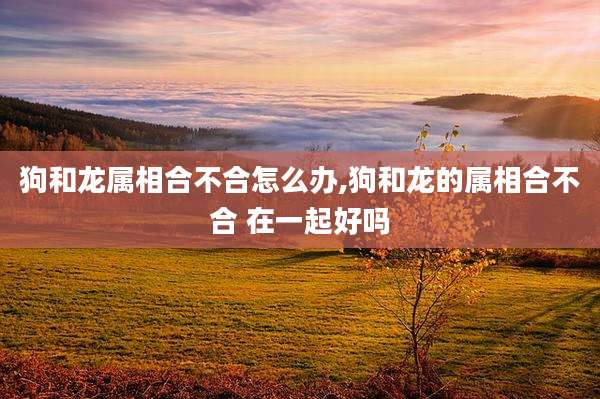 狗和龙属相合不合怎么办,狗和龙的属相合不合 在一起好吗