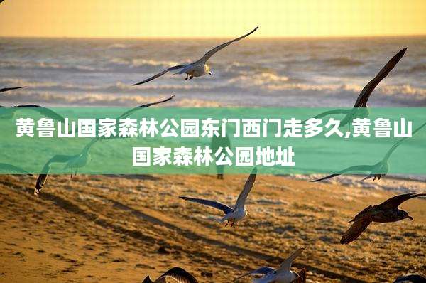 黄鲁山国家森林公园东门西门走多久,黄鲁山国家森林公园地址