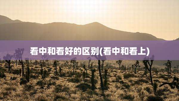 看中和看好的区别(看中和看上)