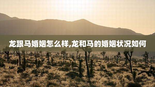 龙跟马婚姻怎么样,龙和马的婚姻状况如何