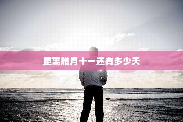 距离腊月十一还有多少天