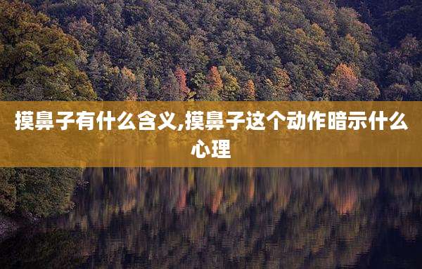 摸鼻子有什么含义,摸鼻子这个动作暗示什么心理