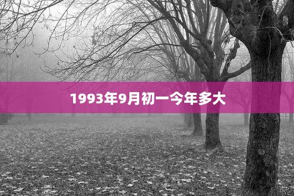 1993年9月初一今年多大