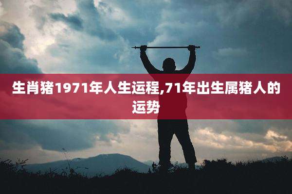生肖猪1971年人生运程,71年出生属猪人的运势
