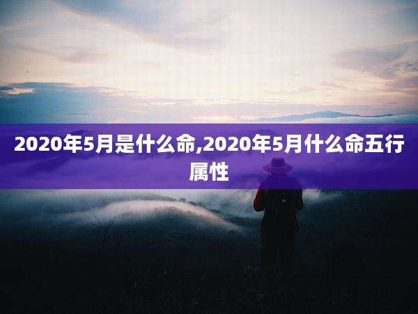 2020年5月是什么命,2020年5月什么命五行属性