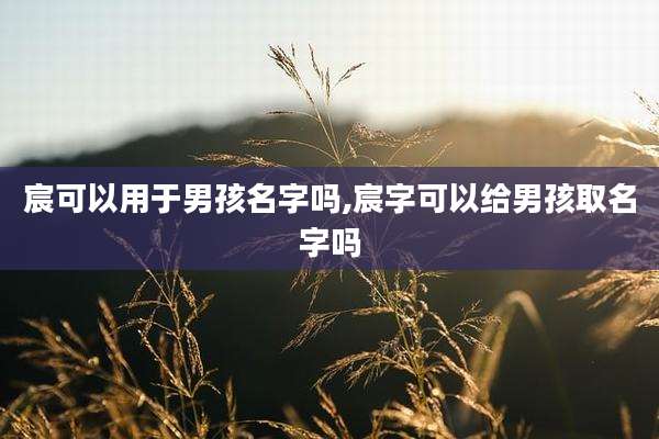 宸可以用于男孩名字吗,宸字可以给男孩取名字吗