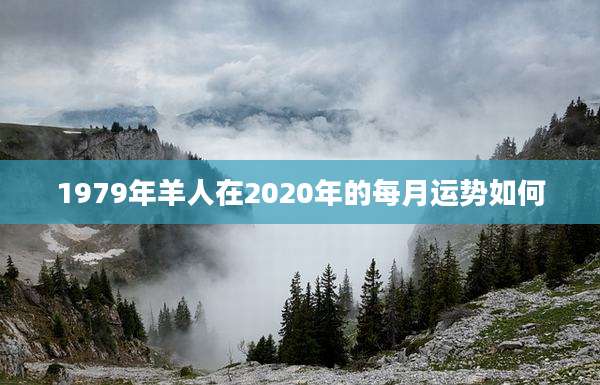 1979年羊人在2020年的每月运势如何
