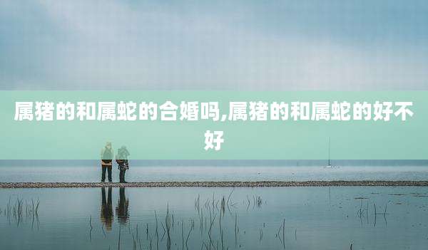 属猪的和属蛇的合婚吗,属猪的和属蛇的好不好