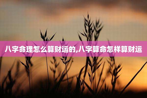 八字命理怎么算财运的,八字算命怎样算财运