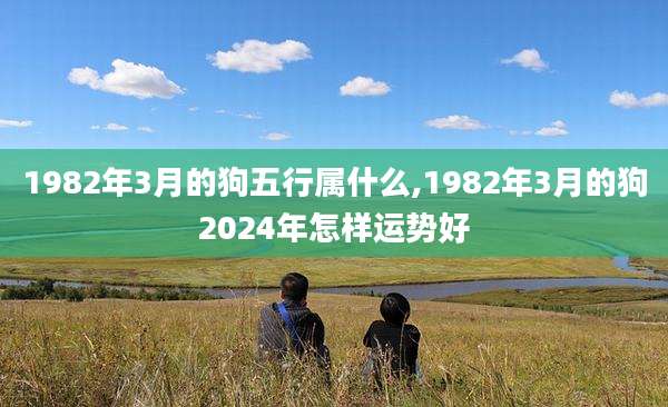 1982年3月的狗五行属什么,1982年3月的狗2024年怎样运势好