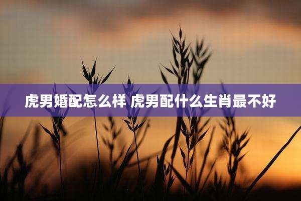 虎男婚配怎么样 虎男配什么生肖最不好