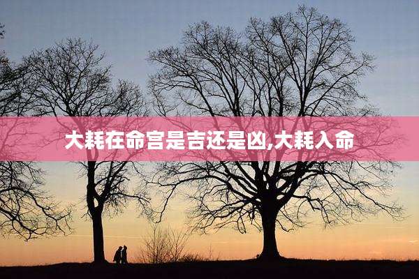 大耗在命宫是吉还是凶,大耗入命