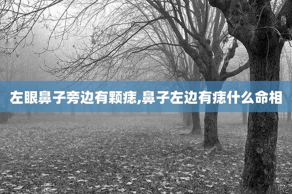 左眼鼻子旁边有颗痣,鼻子左边有痣什么命相