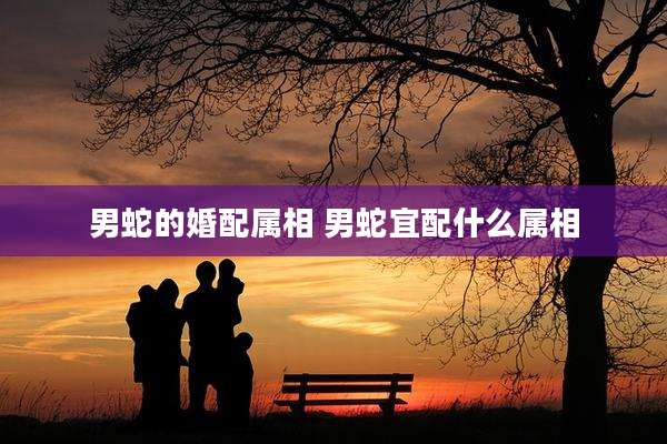 男蛇的婚配属相 男蛇宜配什么属相