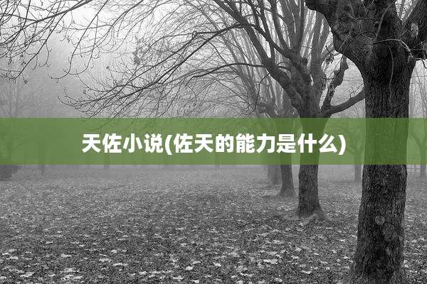 天佐小说(佐天的能力是什么)
