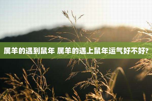 属羊的遇到鼠年 属羊的遇上鼠年运气好不好?