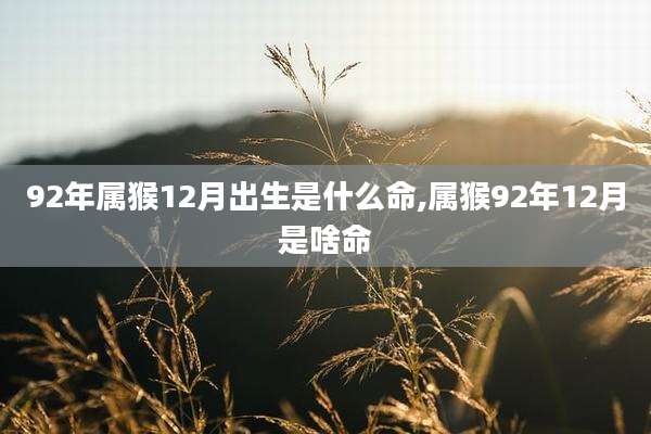 92年属猴12月出生是什么命,属猴92年12月是啥命