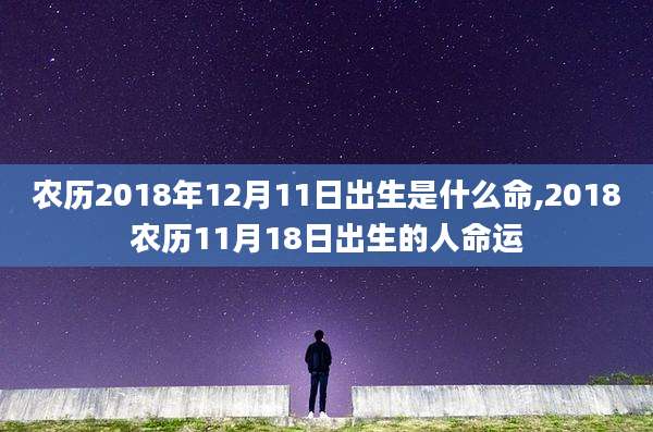 农历2018年12月11日出生是什么命,2018农历11月18日出生的人命运