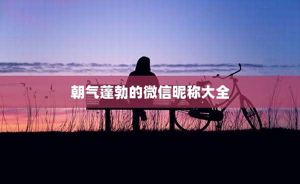 朝气蓬勃的微信昵称大全