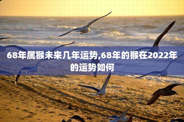 68年属猴未来几年运势,68年的猴在2022年的运势如何