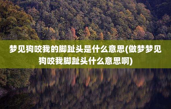 梦见狗咬我的脚趾头是什么意思(做梦梦见狗咬我脚趾头什么意思啊)