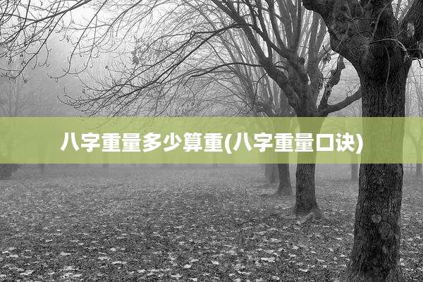 八字重量多少算重(八字重量口诀)
