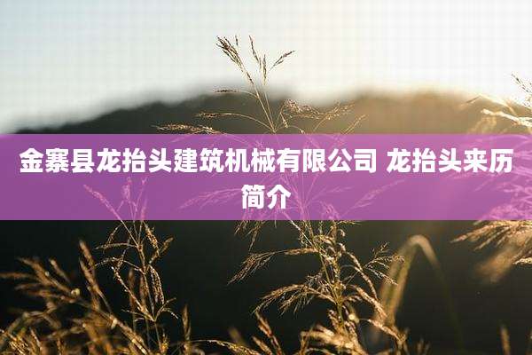 金寨县龙抬头建筑机械有限公司 龙抬头来历简介