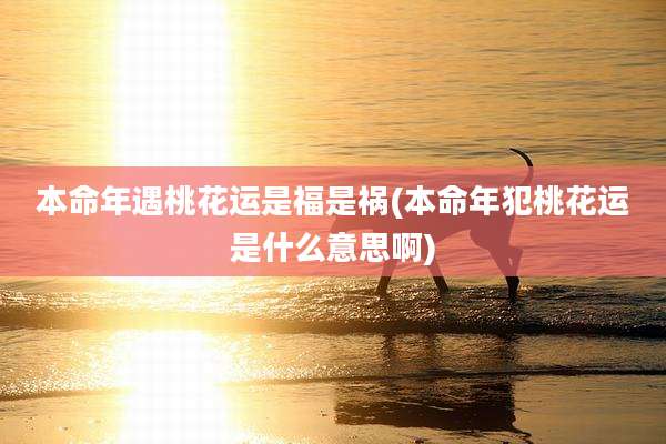 本命年遇桃花运是福是祸(本命年犯桃花运是什么意思啊)