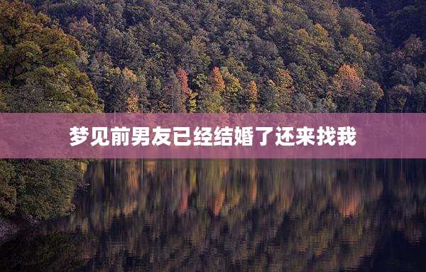 梦见前男友已经结婚了还来找我