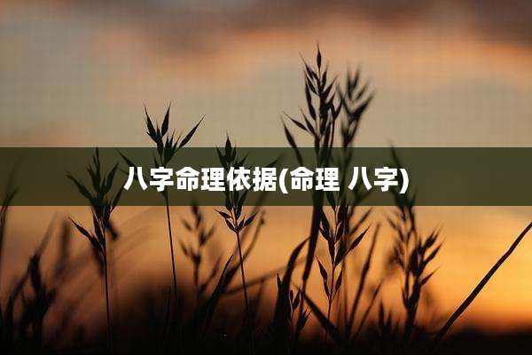 八字命理依据(命理 八字)