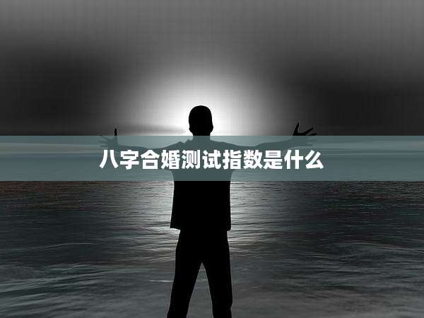 八字合婚测试指数是什么
