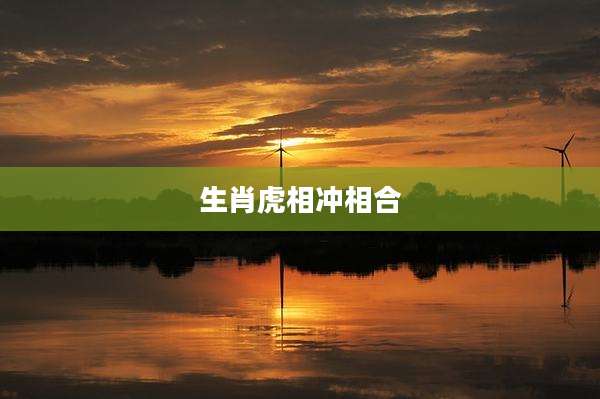 生肖虎相冲相合