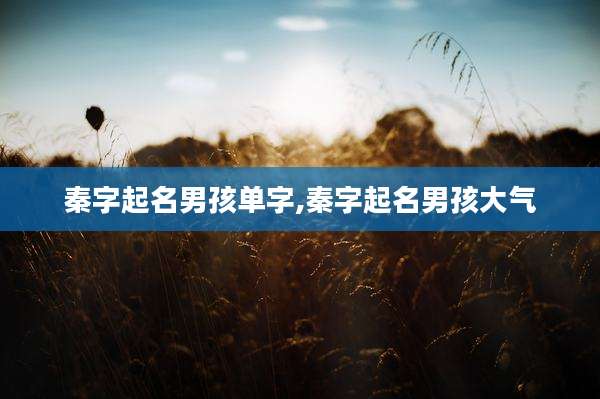 秦字起名男孩单字,秦字起名男孩大气