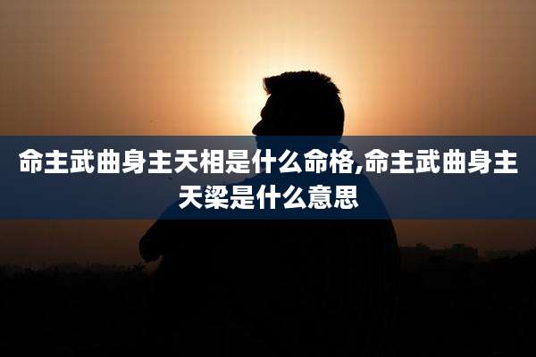 命主武曲身主天相是什么命格,命主武曲身主天梁是什么意思