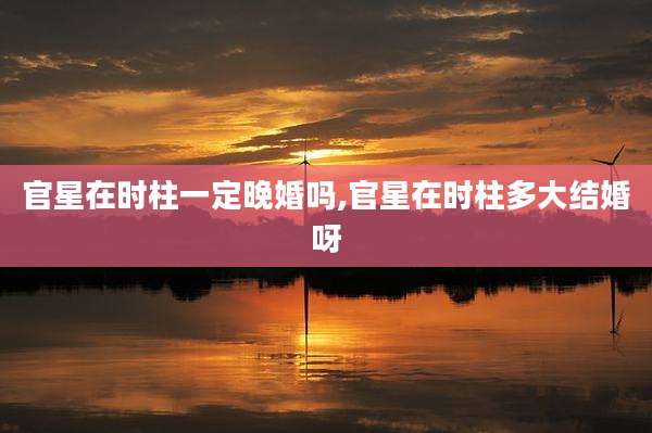 官星在时柱一定晚婚吗,官星在时柱多大结婚呀