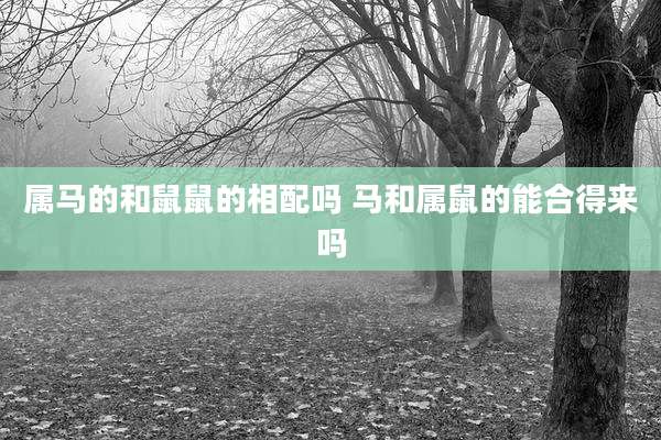 属马的和鼠鼠的相配吗 马和属鼠的能合得来吗