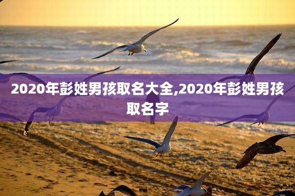 2020年彭姓男孩取名大全,2020年彭姓男孩取名字