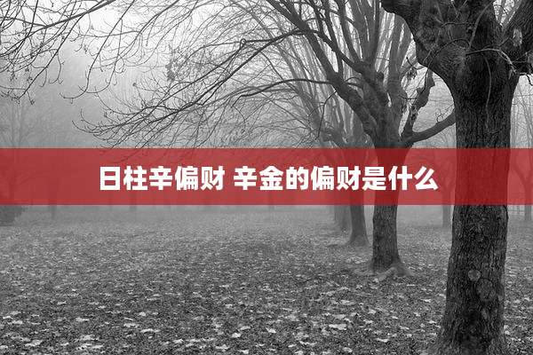 日柱辛偏财 辛金的偏财是什么