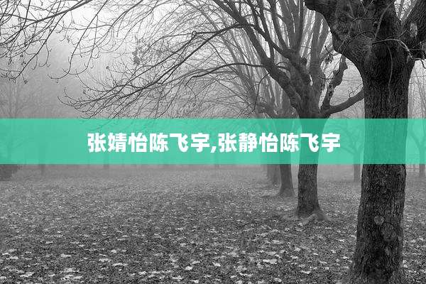 张婧怡陈飞宇,张静怡陈飞宇