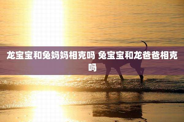 龙宝宝和兔妈妈相克吗 兔宝宝和龙爸爸相克吗
