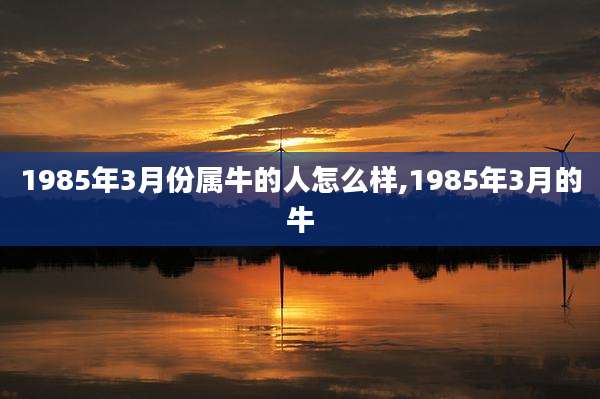 1985年3月份属牛的人怎么样,1985年3月的牛