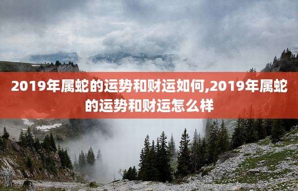2019年属蛇的运势和财运如何,2019年属蛇的运势和财运怎么样