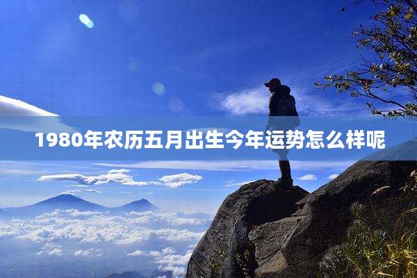1980年农历五月出生今年运势怎么样呢
