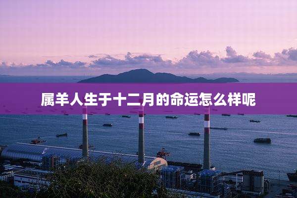 属羊人生于十二月的命运怎么样呢