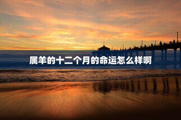 属羊的十二个月的命运怎么样啊