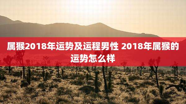 属猴2018年运势及运程男性 2018年属猴的运势怎么样