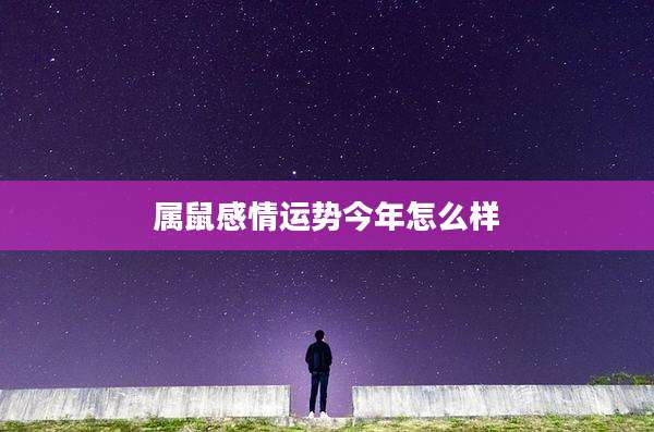 属鼠感情运势今年怎么样
